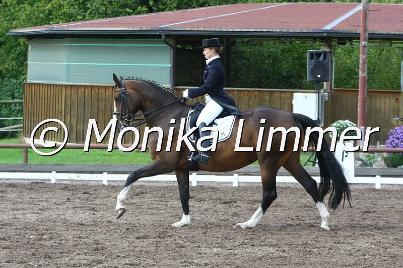 109M4483_Cha_Cha_Dressur Sxx.JPG